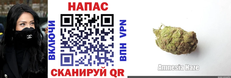 Купить где  Краснокаменск  Марихуана сатива 